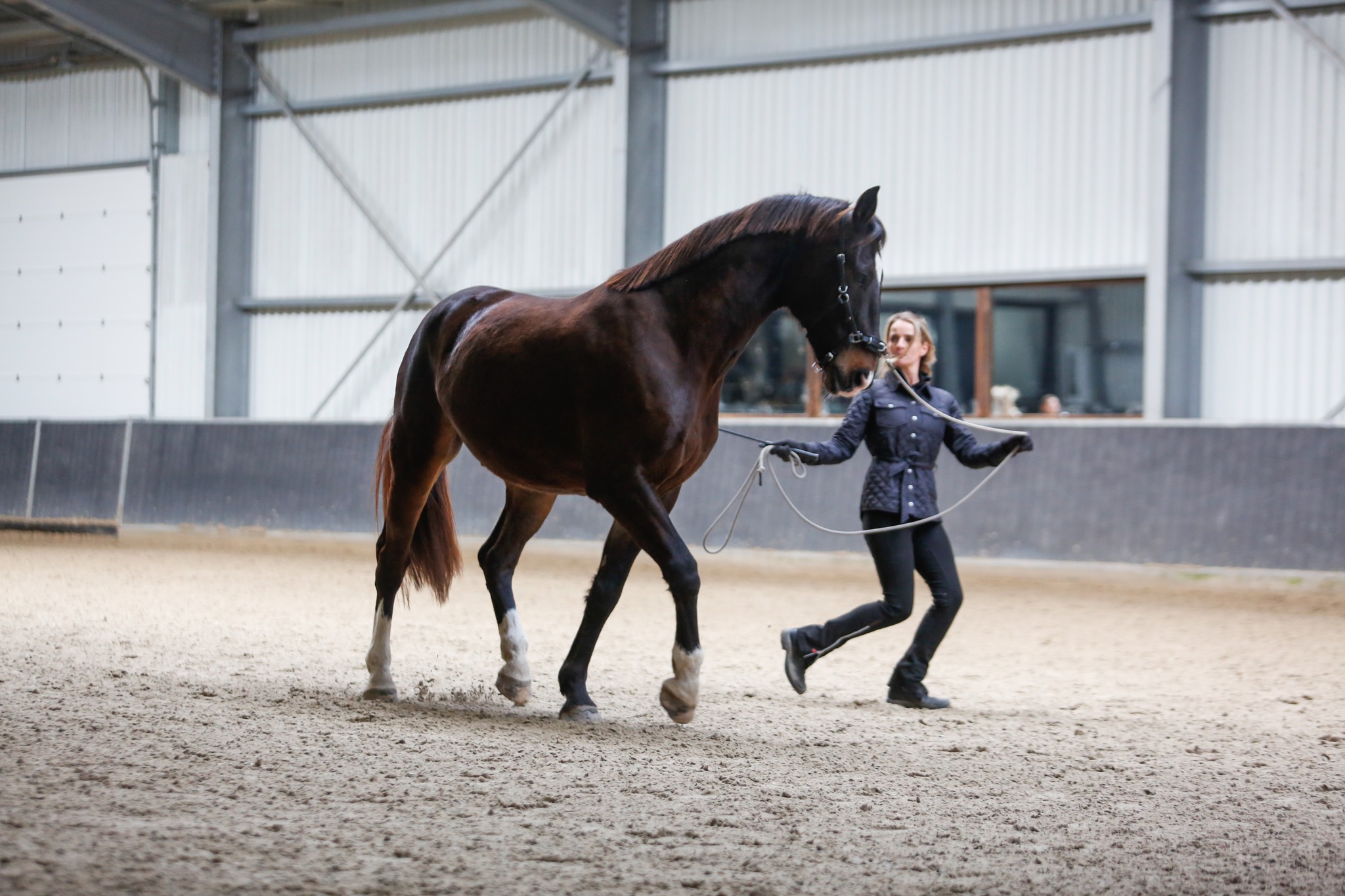 27 juli! Clinic Grondwerk met Celine van der Stroom: ‘Verbeter de communicatie met je paard’