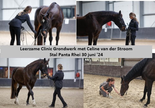 Leuke en leerzame Grondwerk clinic met Celine van der Stroom, nieuwe datum volgt!!